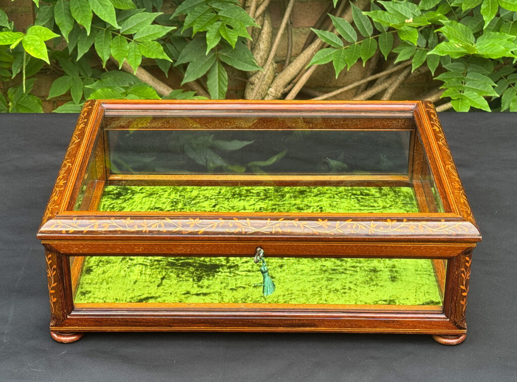 Front view of an Antique Mahogany Glass Display Case with Foliate Marquetry Inlay.