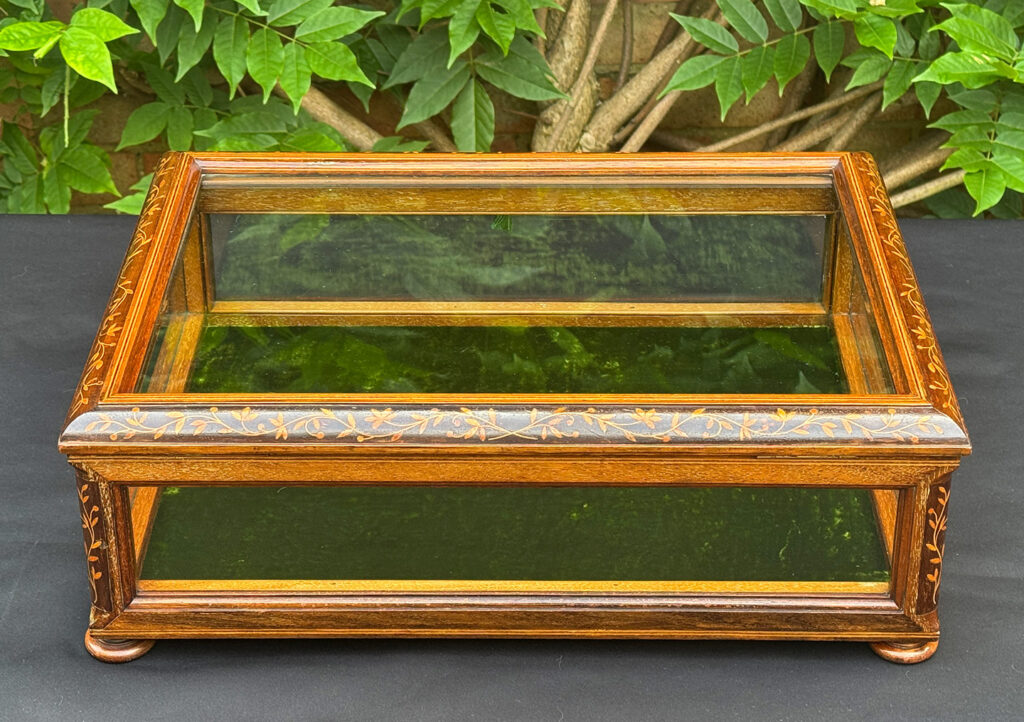 Front view of an antique Mahogany Glass Display Case with Foliate Marquetry Inlay.