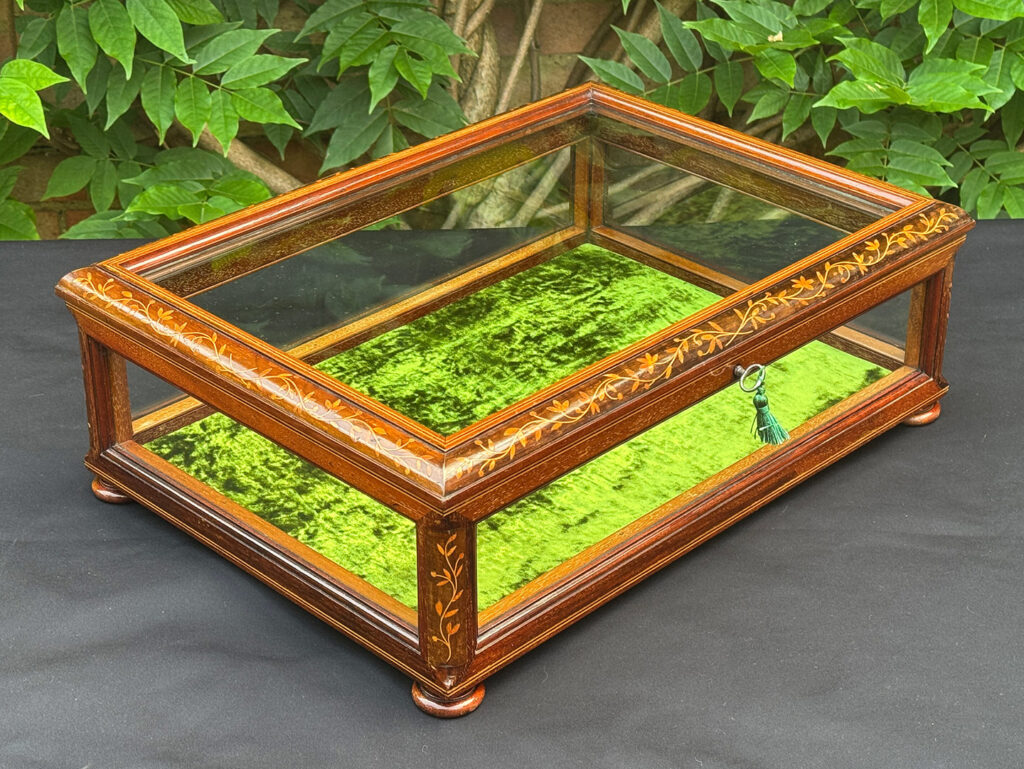Front right view of an Antique Mahogany Glass Display Case with Foliate Marquetry Inlay.