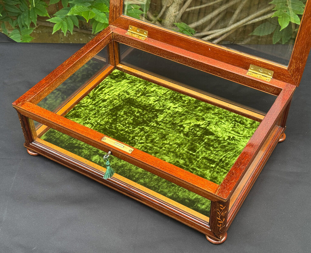 Closer interior view of an Antique Mahogany Glass Display Case with Foliate Marquetry Inlay.