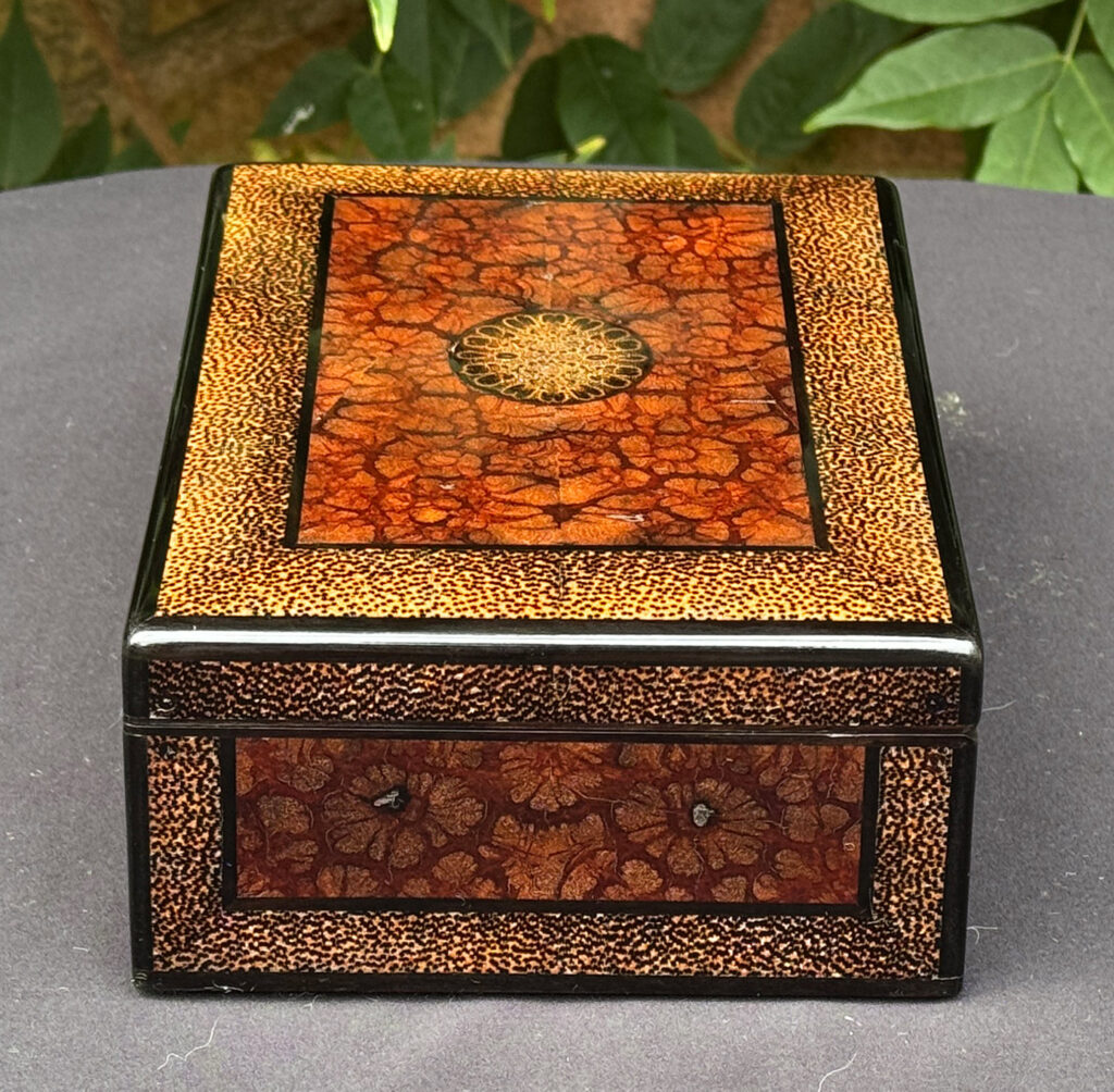Right side view of a rare French miniature antique jewellery box in solid chrysanthemum and black palm wood.