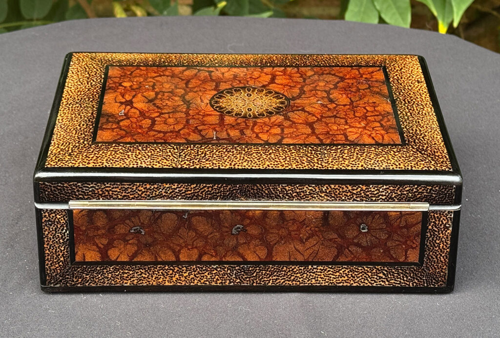Rear view of a rare French miniature antique jewellery box in solid chrysanthemum and black palm wood.