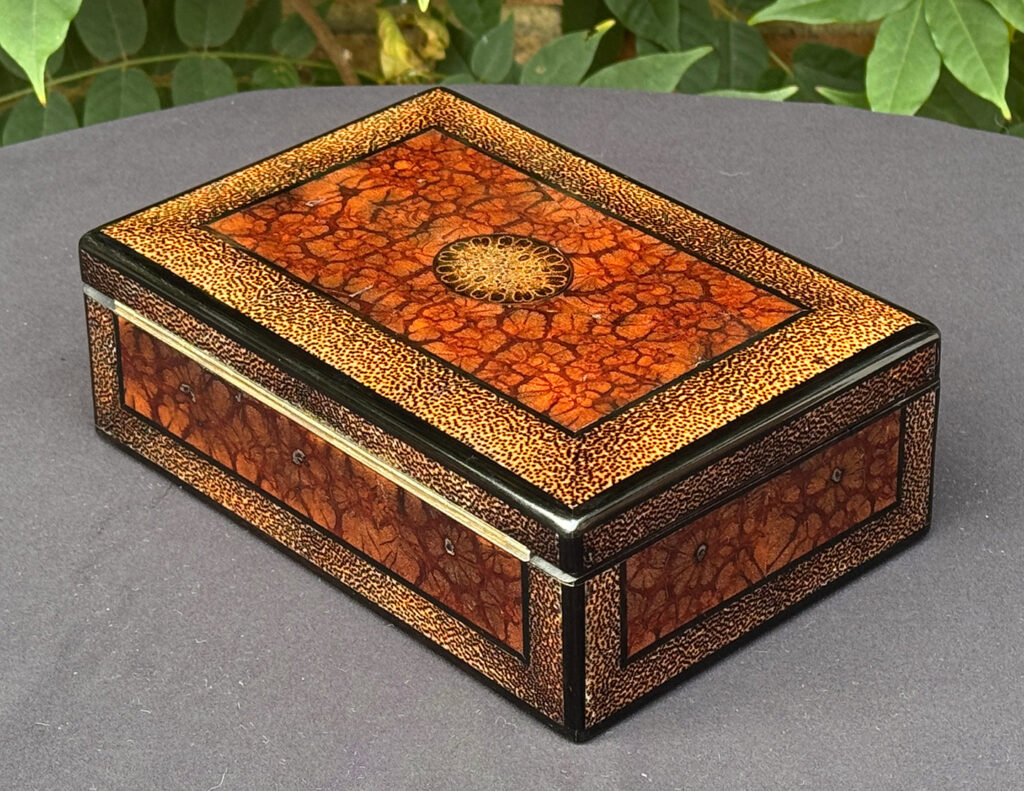 Rear left view of a rare French miniature antique jewellery box in solid chrysanthemum and black palm wood.