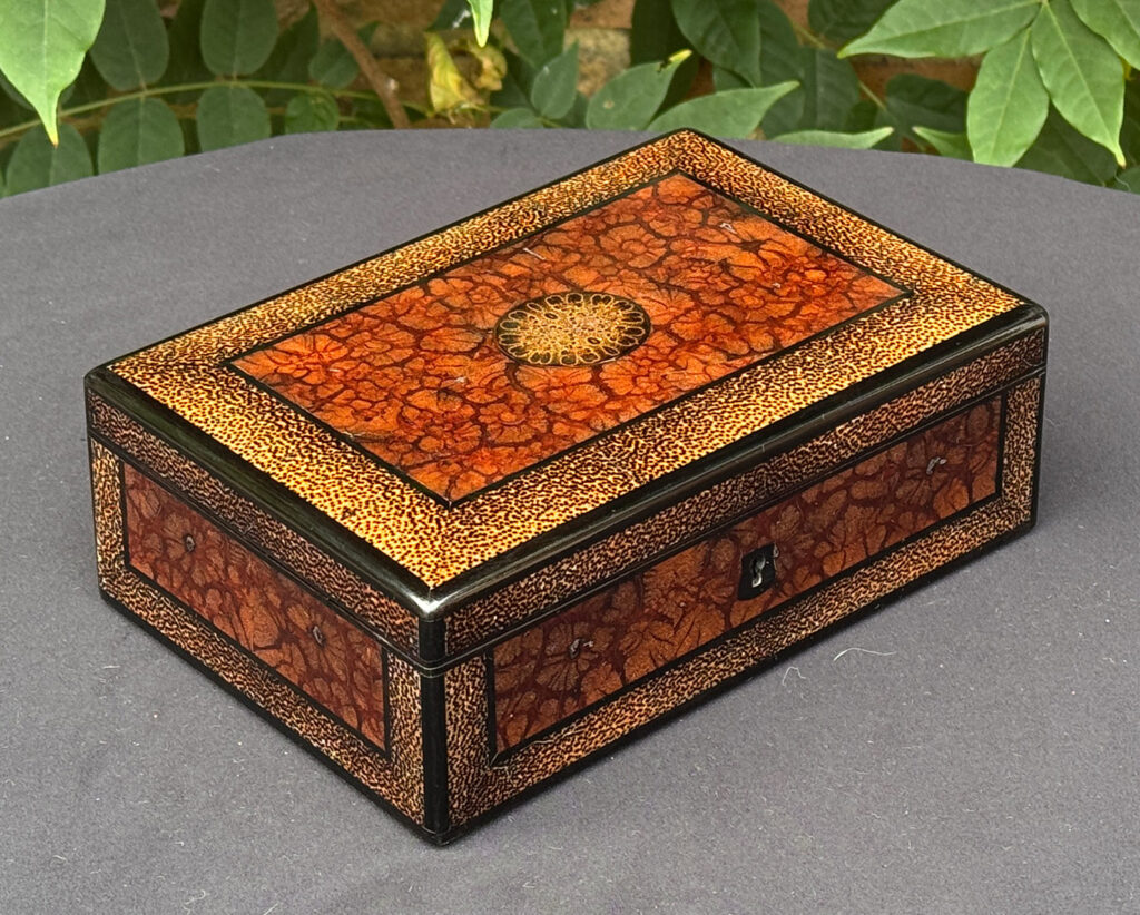 Front left view of a rare French miniature antique jewellery box in solid chrysanthemum and black palm wood.