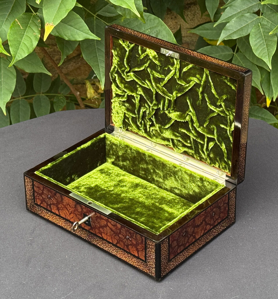 Front right internal view of a rare French miniature antique jewellery box in solid chrysanthemum and black palm wood.