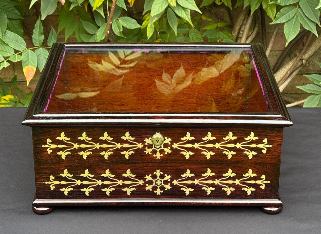 Front view of an antique rosewood brass inlaid glass display jewellery box.