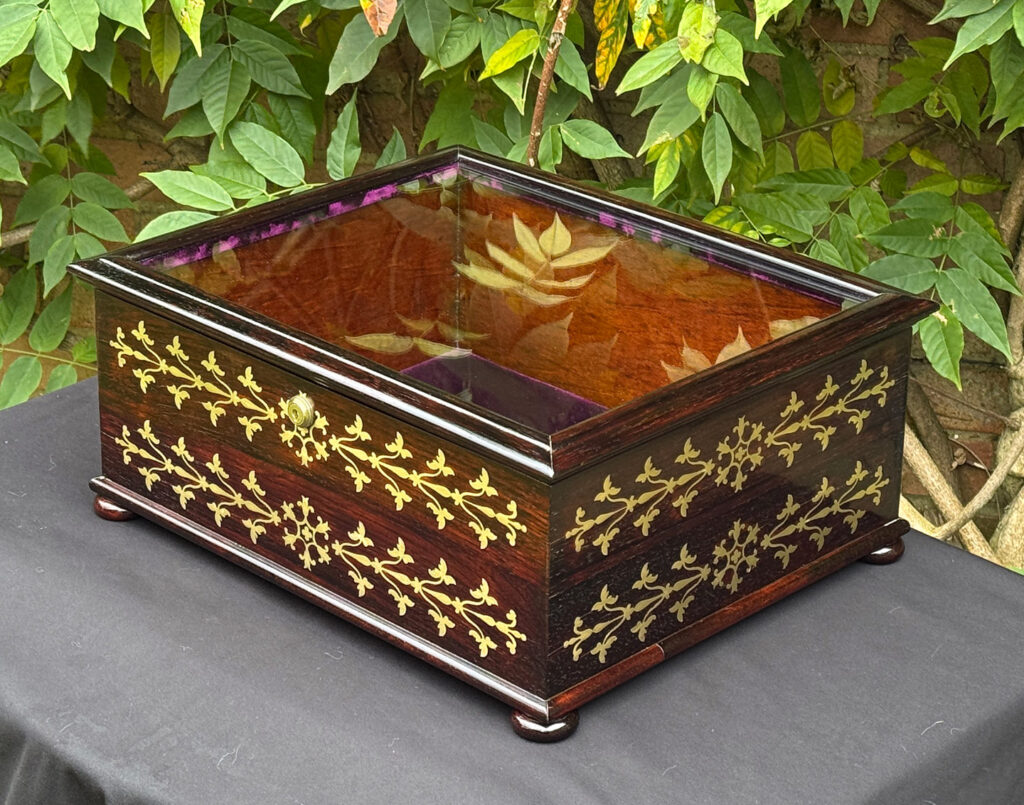Front right view of an antique rosewood brass inlaid glass display jewellery box.
