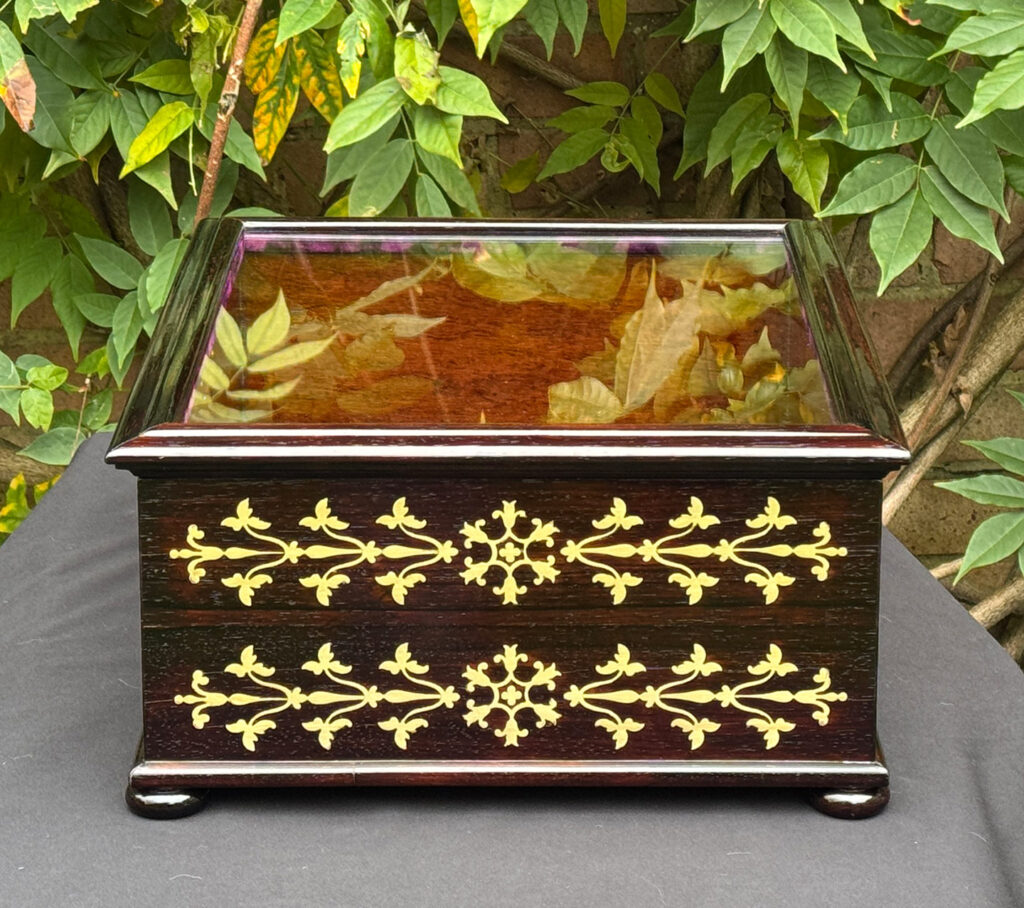 Right side view of an antique rosewood brass inlaid glass display jewellery box.