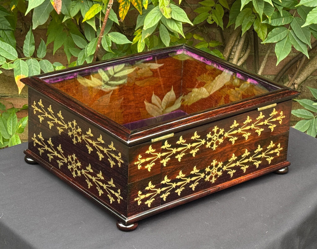 Rear right view of an antique rosewood brass inlaid glass display jewellery box.