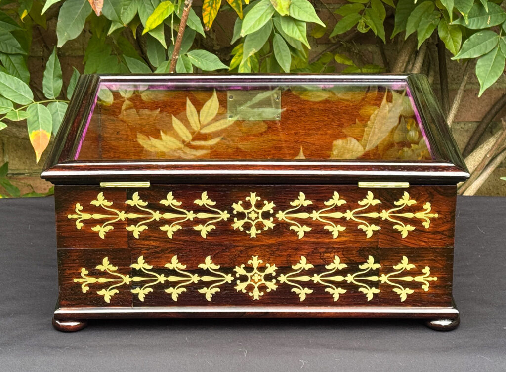Rear view of an antique rosewood brass inlaid glass display jewellery box.
