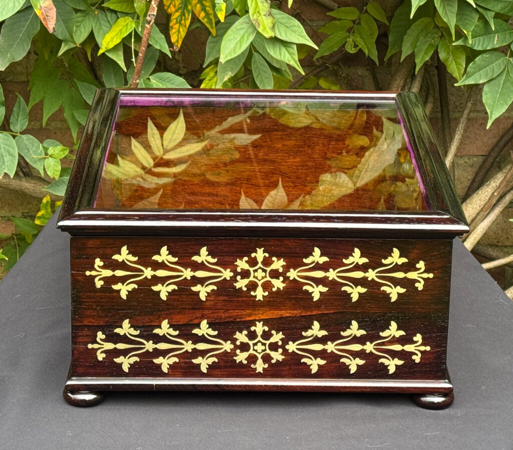 Left side view of an antique rosewood brass inlaid glass display jewellery box.