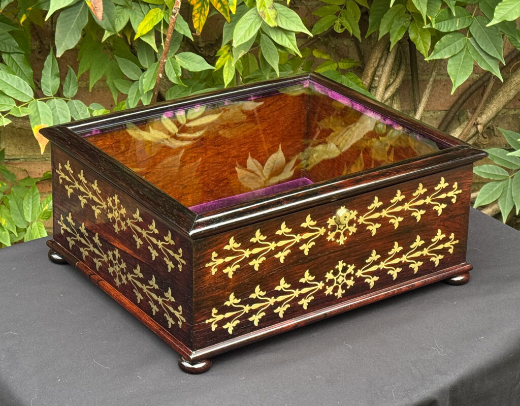 Front left view of an antique rosewood brass inlaid glass display jewellery box.