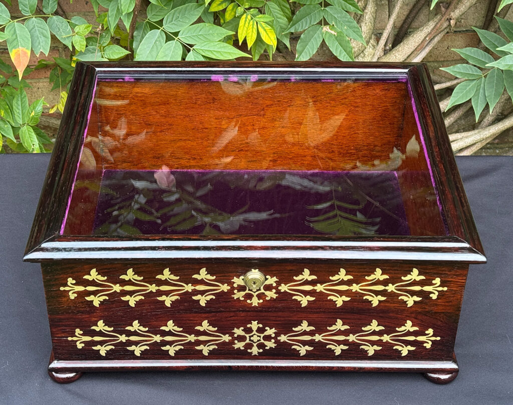 Overhead view of an antique rosewood brass inlaid glass display jewellery box.