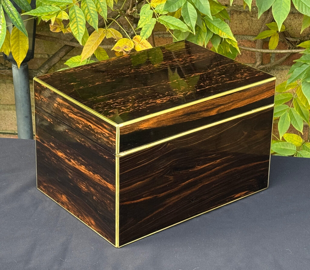 Rear right view of an antique jewellery box in coromandel with two concealed drawers.