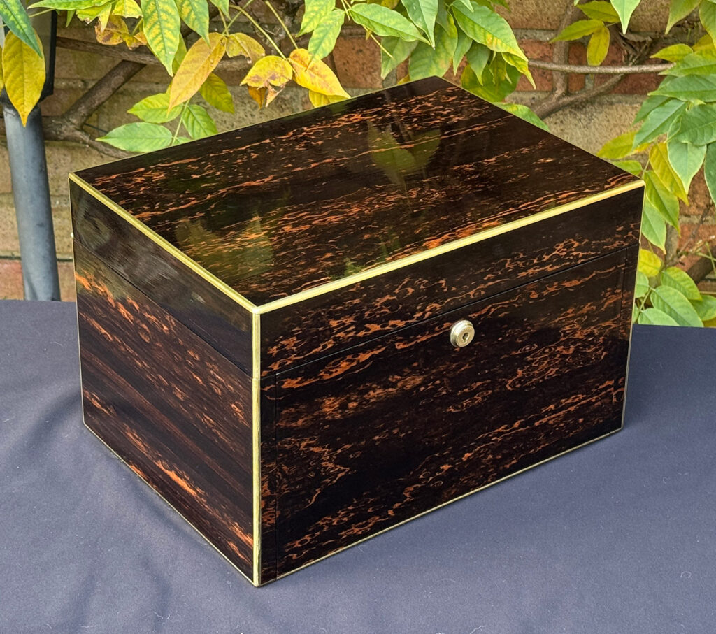 Front left view of an antique jewellery box in coromandel with two concealed drawers.