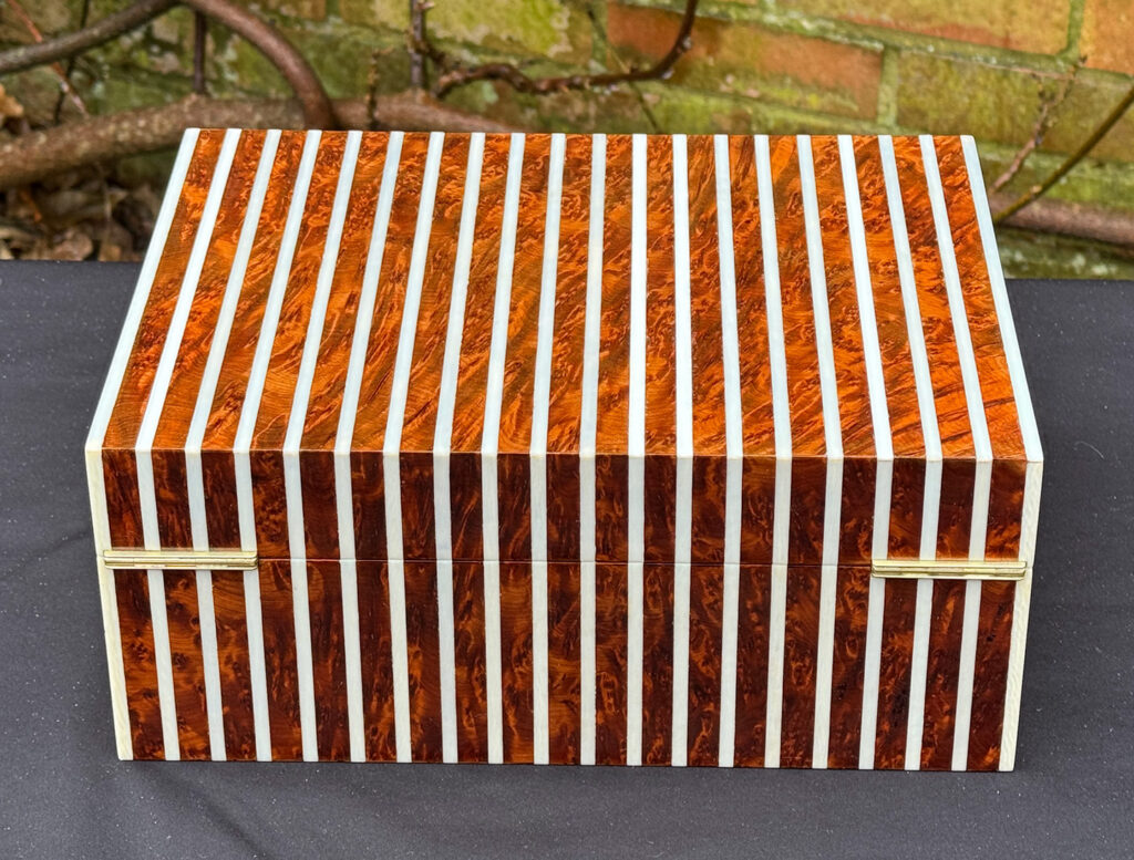 Rear view of an antique Edwardian cigar box in thuya wood with ivory striped inlay.