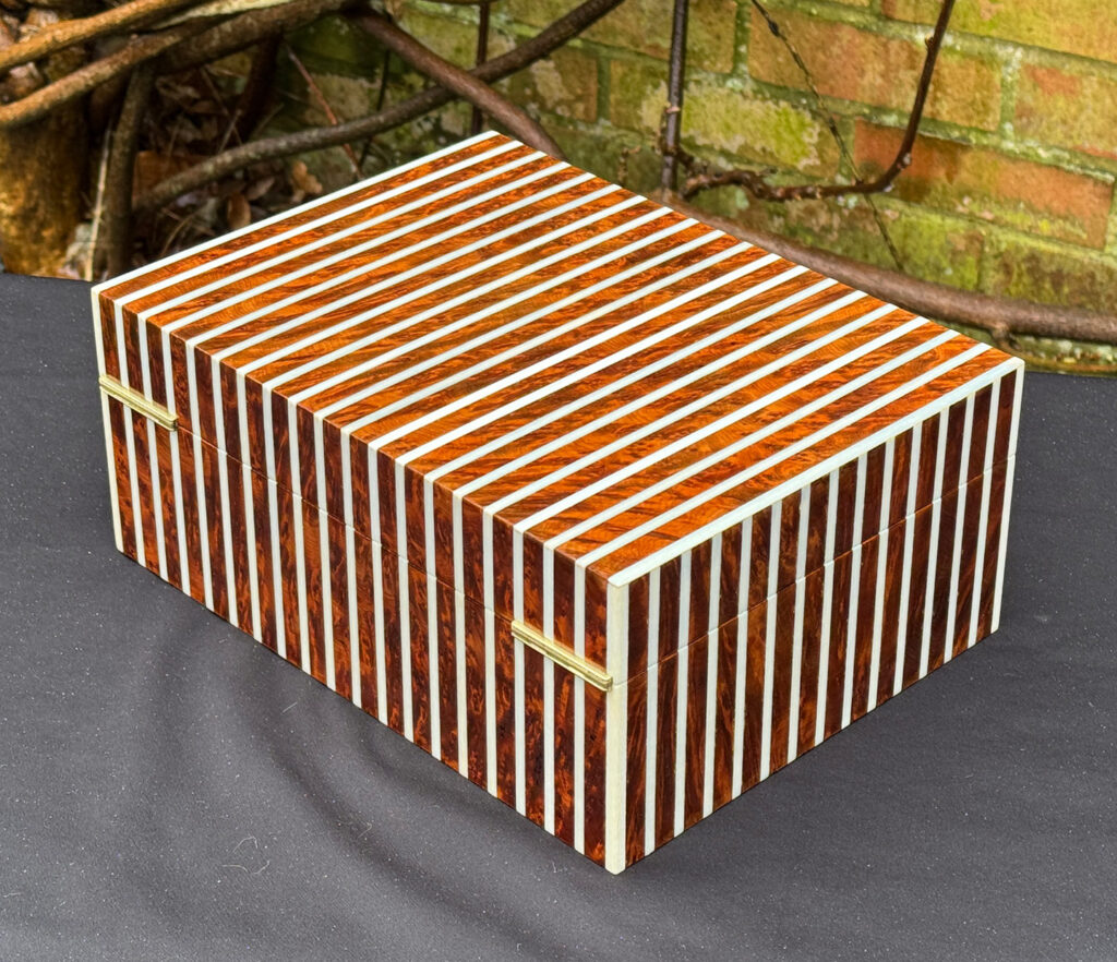 Rear left view of an antique Edwardian cigar box in thuya wood with ivory striped inlay.
