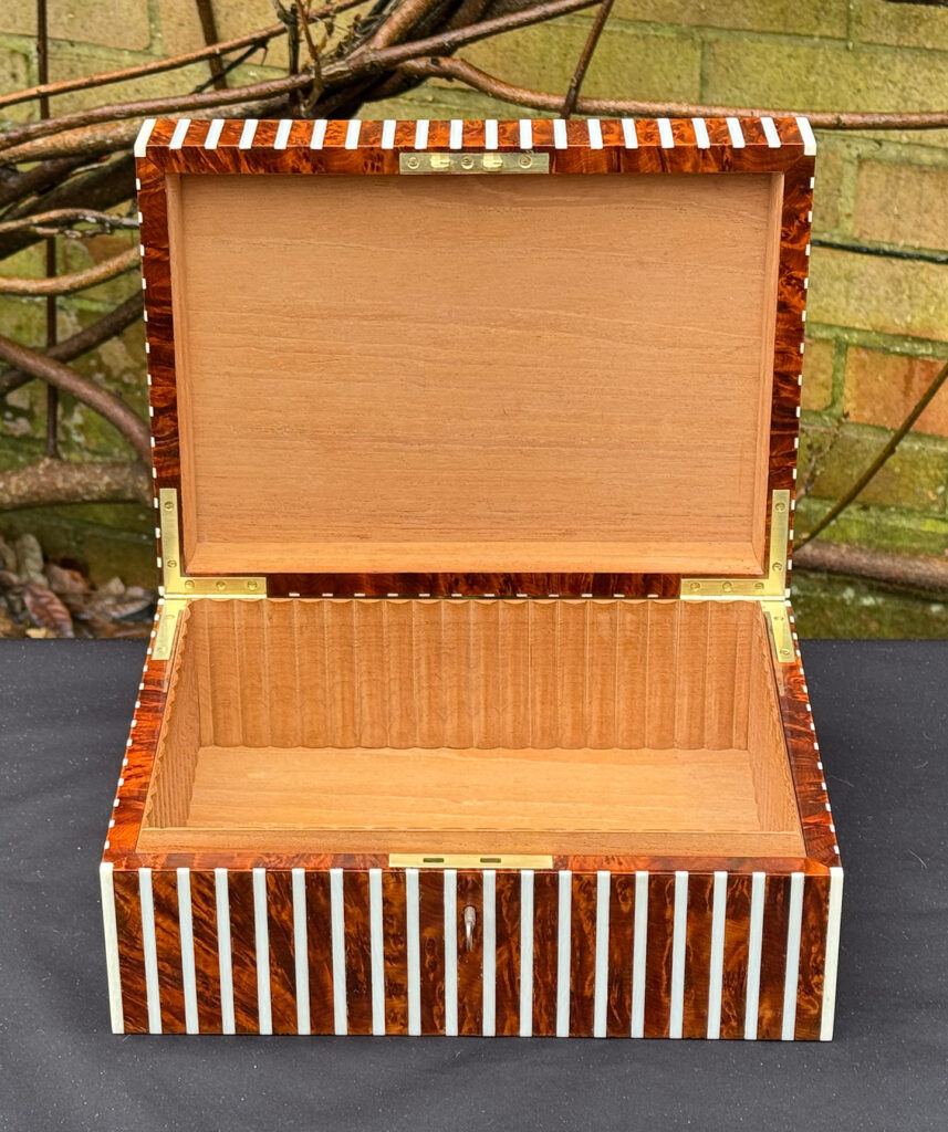 Front interior view of an antique Edwardian cigar box in thuya wood with ivory striped inlay.