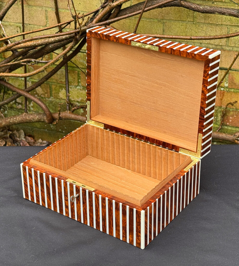 Front right interior view of an antique Edwardian cigar box in thuya wood with ivory striped inlay.