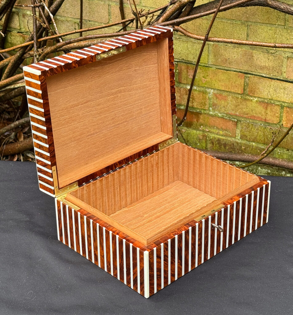 Front left interior view of an antique Edwardian cigar box in thuya wood with ivory striped inlay.