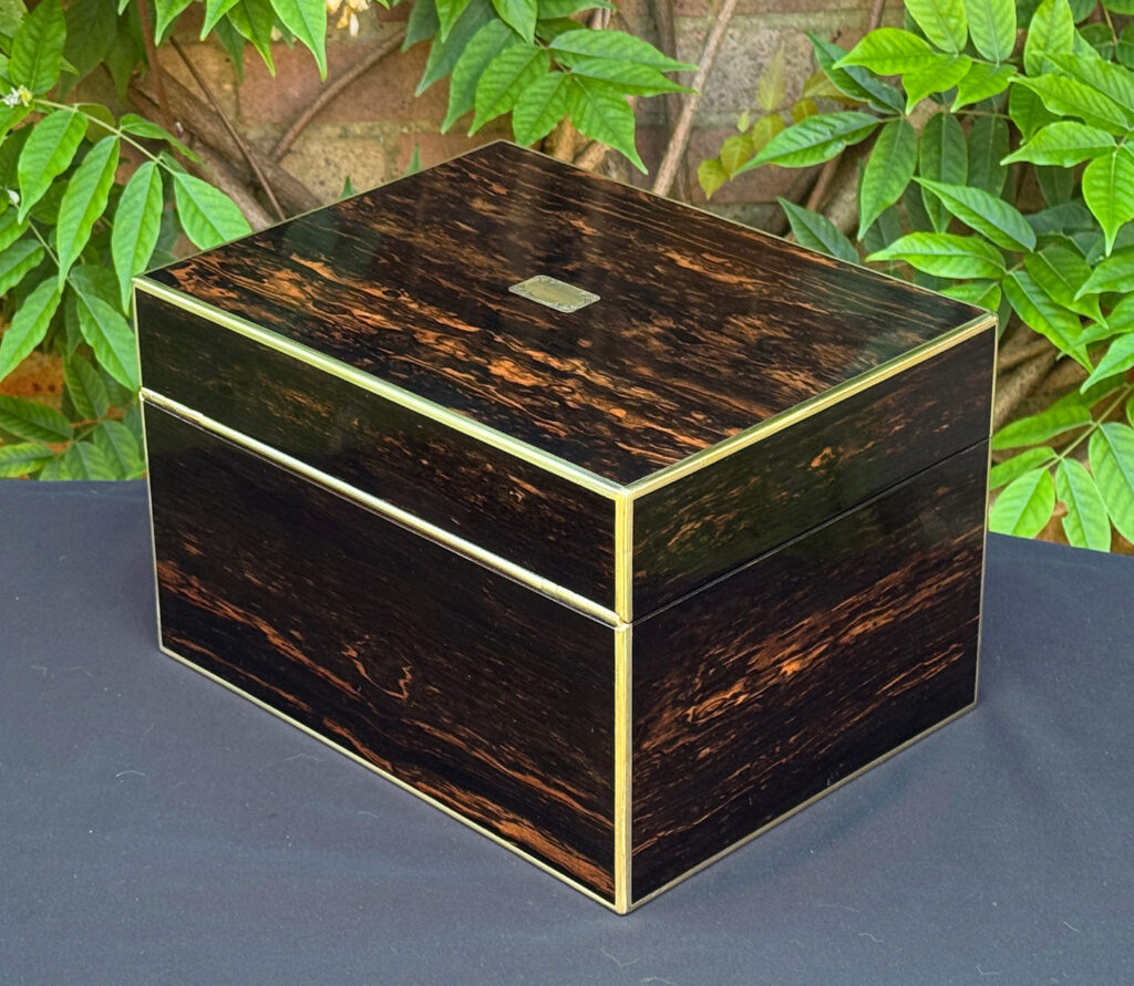 Rear left view of an antique jewellery box in coromandel with front & side drawer.