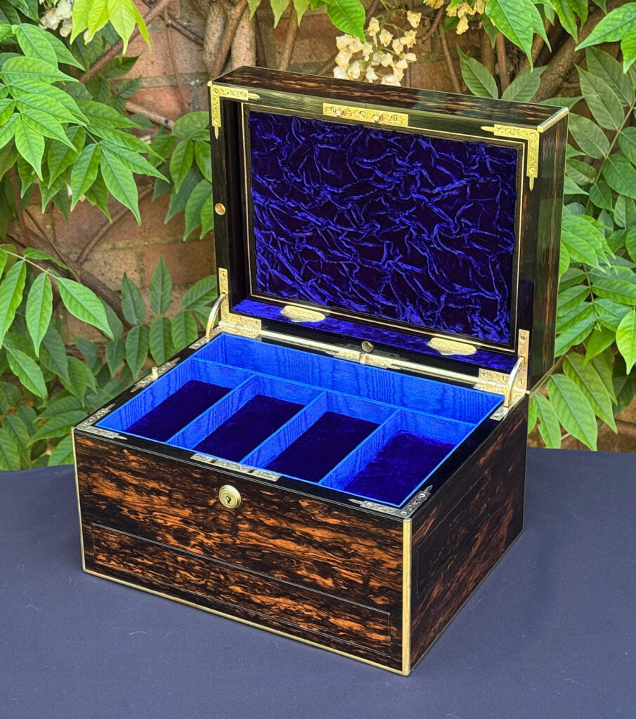 Front right interior view of an antique jewellery box in coromandel with front & side drawer.