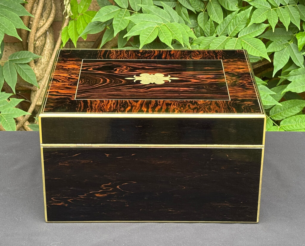 Rear view of an antique jewellery box in calamander.