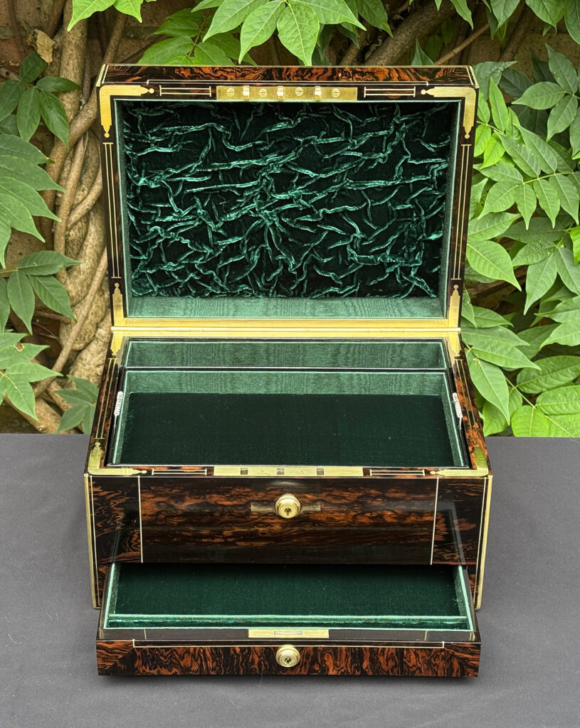 Front interior view of an antique jewellery box in calamander with lower drawer opened.